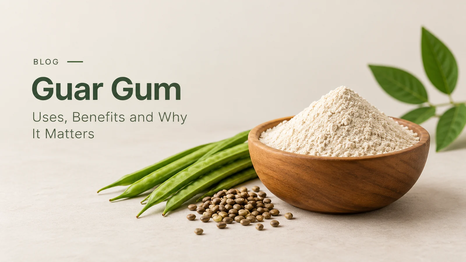 What is PHGG? Uses, Benefits, and Why It Matters