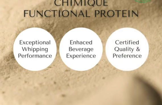 Explore the Benefits of Functional Plant Protein