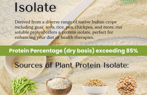 Top 3 Plant Protein Isolate Sources for a Clean and Green Diet