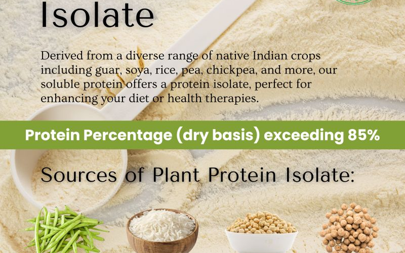 Top 3 Plant Protein Isolate Sources for a Clean and Green Diet